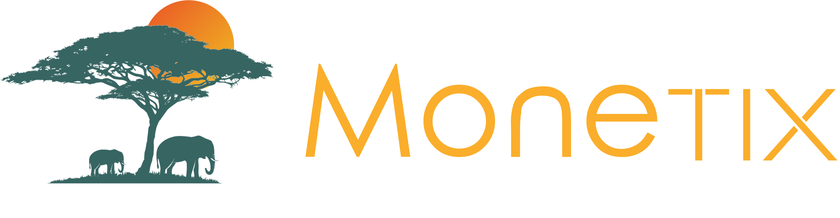 Monetix